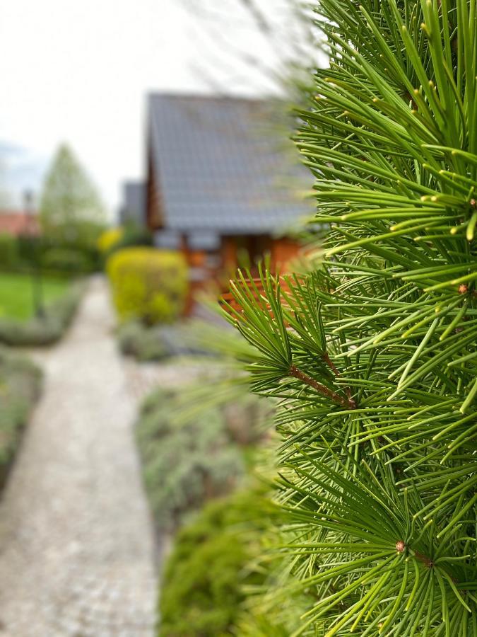 Domki U Basi Kudowa-Zdroj Bagian luar foto