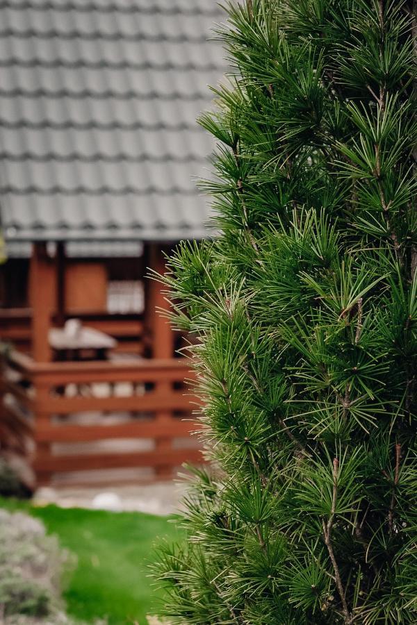 Domki U Basi Kudowa-Zdroj Bagian luar foto
