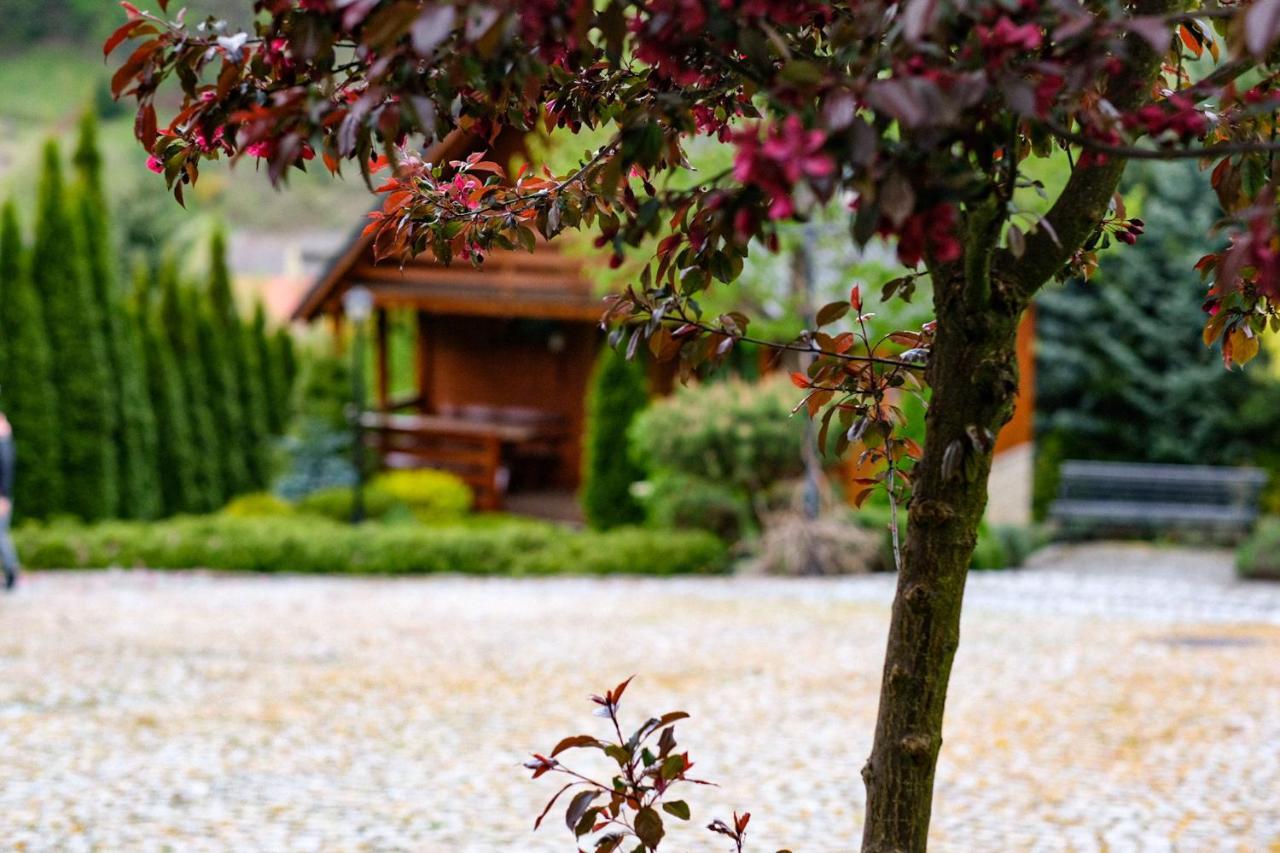 Domki U Basi Villa Kudowa-Zdroj Bagian luar foto